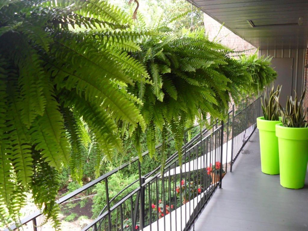 Bed and Breakfast Studio Living Montreal Zewnętrze zdjęcie
